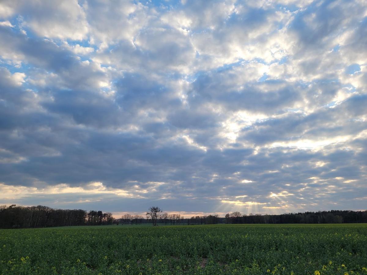 Apartmán Maerchenhaft Urlauben Auf Dem Alpakahof Rambow Exteriér fotografie