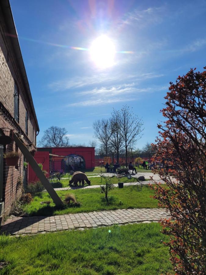 Apartmán Maerchenhaft Urlauben Auf Dem Alpakahof Rambow Exteriér fotografie